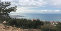 Land for Sale Chnaneir Kesserwan Area 1050Sqm