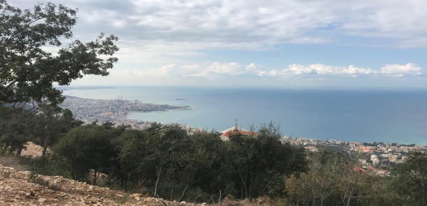 Land for Sale Chnaneir Kesserwan Area 1050Sqm