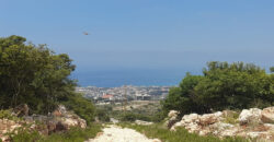Land for Sale Ijdabra Batroun Area 1223Sqm