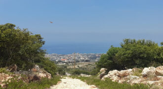 Land for Sale Ijdabra Batroun Area 1223Sqm