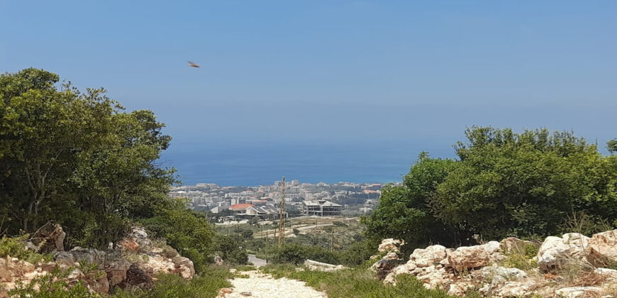 Land for Sale Ijdabra Batroun Area 1223Sqm