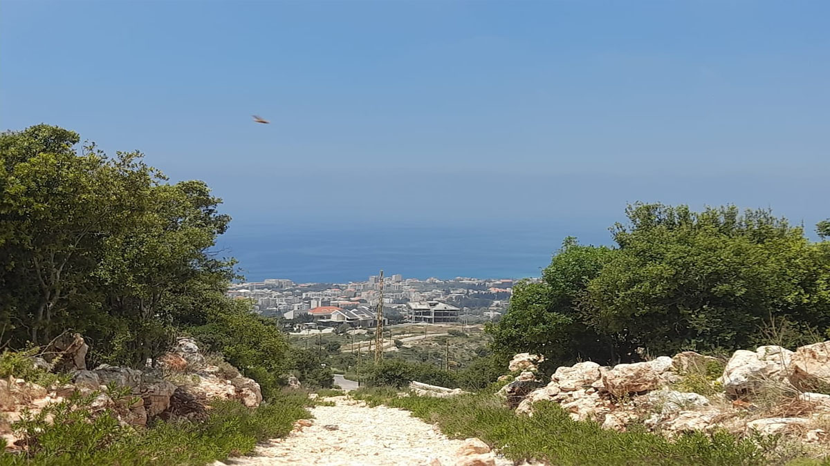 Land for Sale Ijdabra Batroun Area 1223Sqm