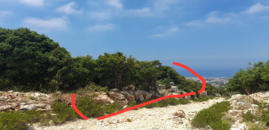 Land for Sale Ijdabra Batroun Area 1223Sqm