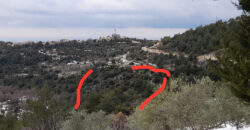 Land for Sale Hardine – Beit Kassab Batroun Area 9047Sqm