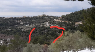 Land for Sale Hardine – Beit Kassab Batroun Area 9047Sqm