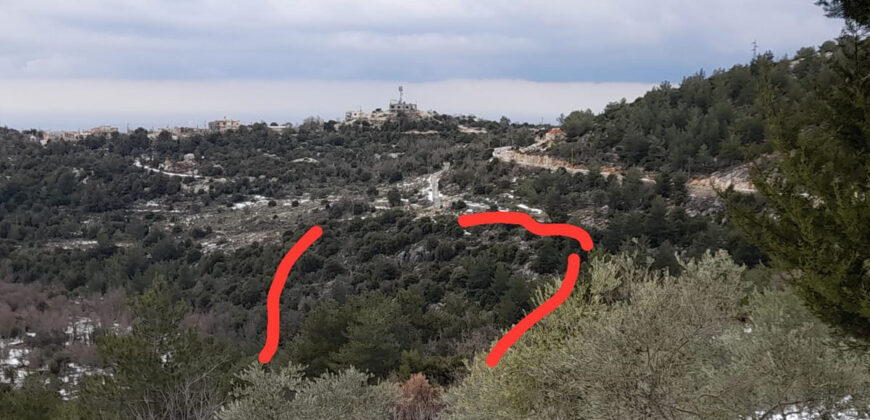 Land for Sale Hardine – Beit Kassab Batroun Area 9047Sqm