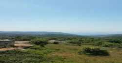 Old House for Sale Aabdelali Batroun Housing Area 200Sqm Land Area 1000Sqm