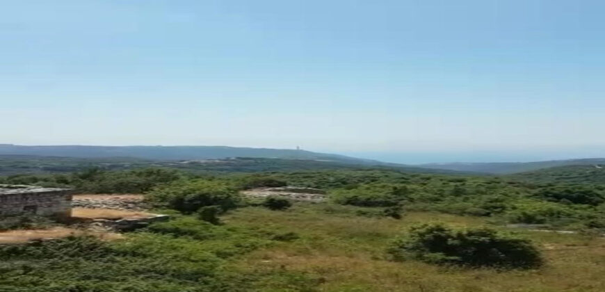 Old House for Sale Aabdelali Batroun Housing Area 200Sqm Land Area 1000Sqm