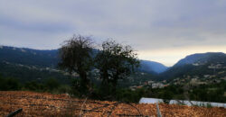 Land for Sale Bchelleli ( Jouret El Qattine ) Jbeil Area 19200Sqm