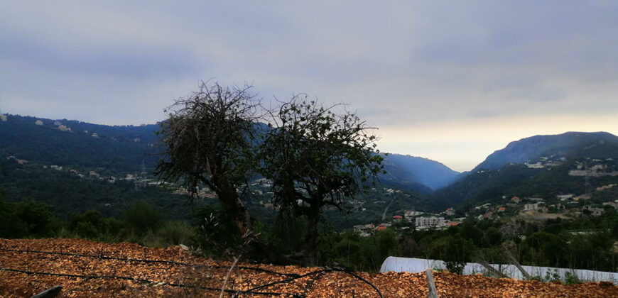 Land for Sale Bchelleli ( Jouret El Qattine ) Jbeil Area 19200Sqm