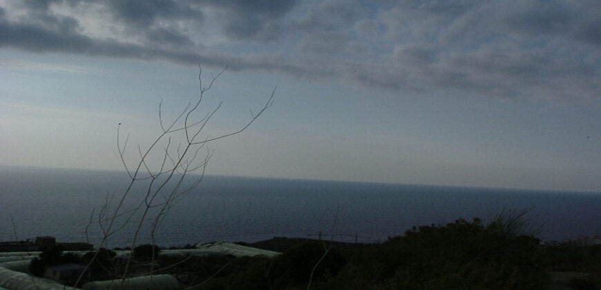 Land for Sale Rayhan Jbeil Area 1436Sqm