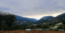 Land for Sale Bchelleli ( Jouret El Qattine ) Jbeil Area 19200Sqm