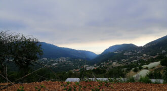 Land for Sale Bchelleli ( Jouret El Qattine ) Jbeil Area 19200Sqm