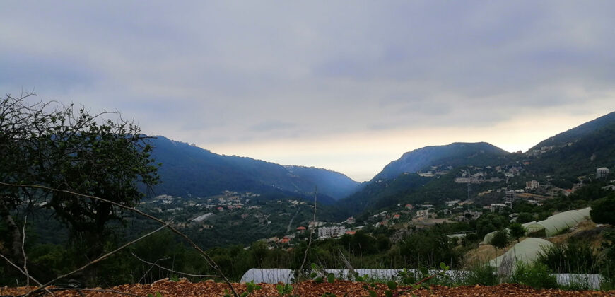 Land for Sale Bchelleli ( Jouret El Qattine ) Jbeil Area 19200Sqm