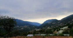 Land for Sale Bchelleli ( Jouret El Qattine ) Jbeil Area 19200Sqm