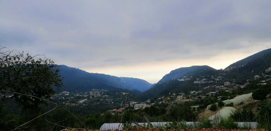 Land for Sale Bchelleli ( Jouret El Qattine ) Jbeil Area 19200Sqm