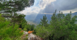 Land for Sale Hardine – Beit Kassab Batroun Area 722Sqm.