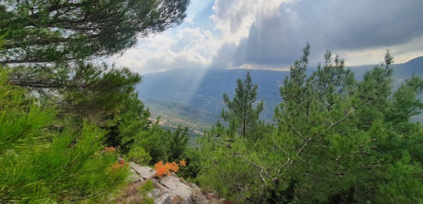 Land for Sale Hardine – Beit Kassab Batroun Area 722Sqm.