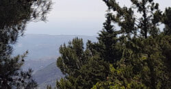 Land for Sale Hardine – Beit Kassab Batroun Area 722Sqm.
