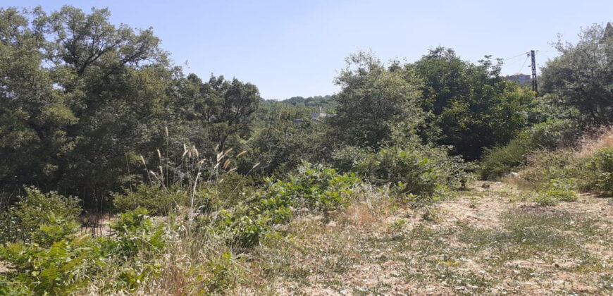 Land for Sale Ehmej ( Aaouayni ) Jbeil Area 1400Sqm