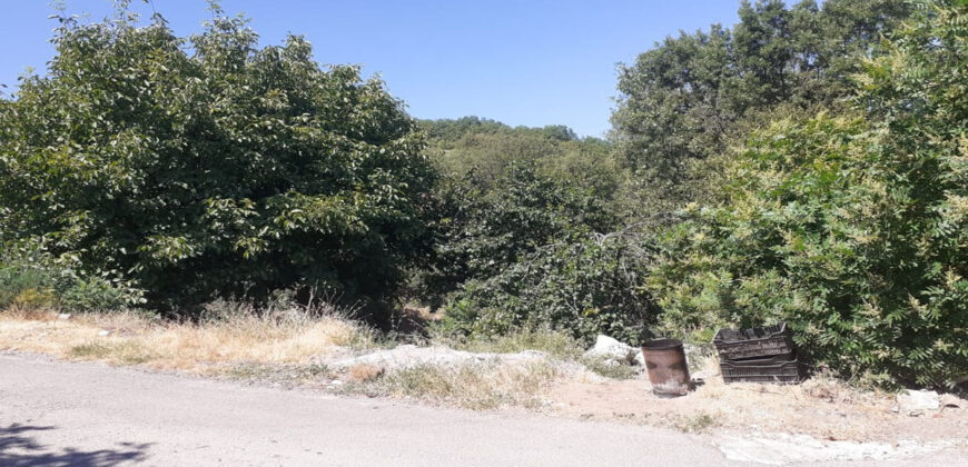 Land for Sale Ehmej ( Aaouayni ) Jbeil Area 1400Sqm