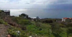 Land for Sale Rayhan Jbeil Area 1436Sqm