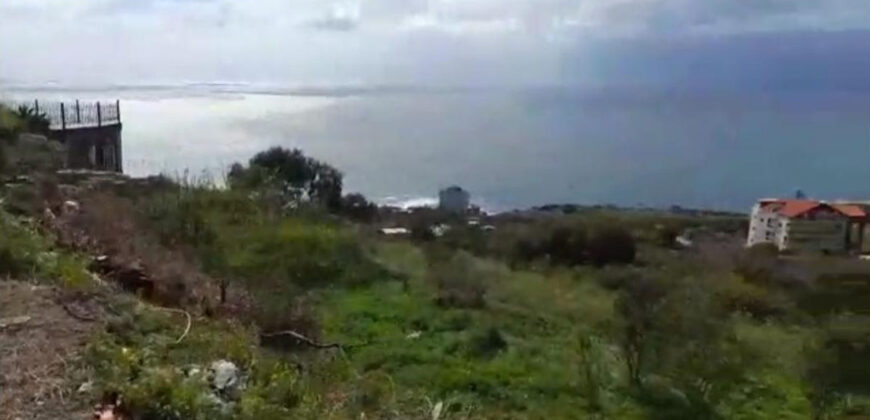 Land for Sale Rayhan Jbeil Area 1436Sqm