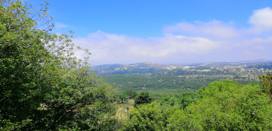 Old House for Sale Mechmech Jbeil Housing Area Around 800Sqm Land Area 2798Sqm
