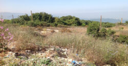 Land for Sale Ras Osta Jbeil Area 18235Sqm
