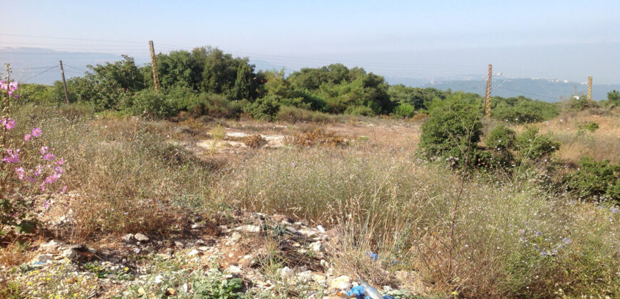 Land for Sale Ras Osta Jbeil Area 18235Sqm