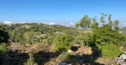 Land for Sale Mechmech Jbeil Area 1315Sqm