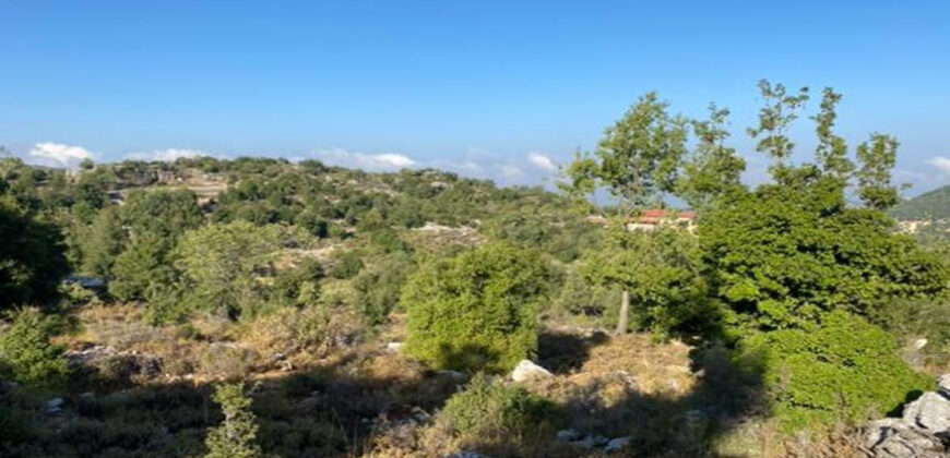 Land for Sale Mechmech Jbeil Area 1315Sqm