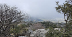 Land for Sale Douma Batroun Area 81077Sqm