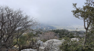 Land for Sale Douma Batroun Area 81077Sqm