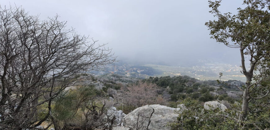 Land for Sale Douma Batroun Area 81077Sqm