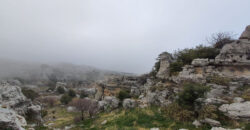 Land for Sale Douma Batroun Area 81077Sqm