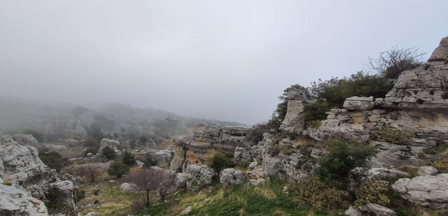 Land for Sale Douma Batroun Area 81077Sqm