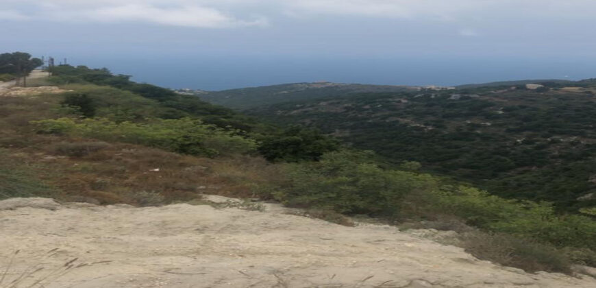 Land for Sale Bekhaaz Jbeil Area 1150Sqm
