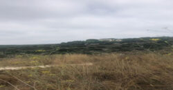 Land for Sale Bekhaaz Jbeil Area 1150Sqm