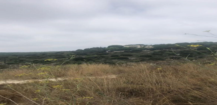 Land for Sale Bekhaaz Jbeil Area 1150Sqm