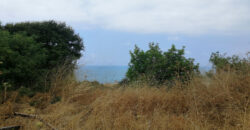 Land for Sale Berbara Jbeil Area 855Sqm