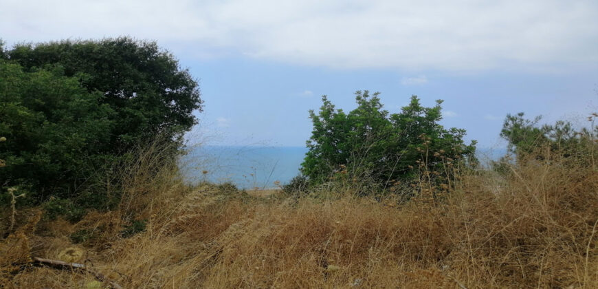 Land for Sale Berbara Jbeil Area 855Sqm
