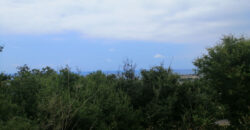 Land for Sale Berbara Jbeil Area 855Sqm