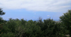 Land for Sale Berbara Jbeil Area 855Sqm