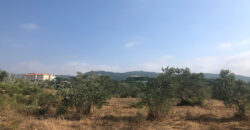 Land for sale Kfifan Batroun Area 1995Sqm