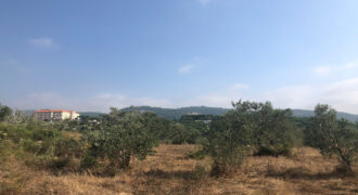 Land for sale Kfifan Batroun Area 1995Sqm
