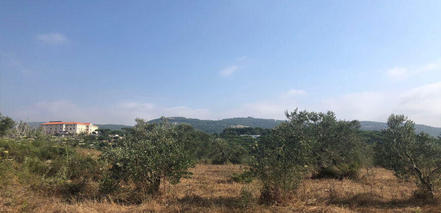 Land for sale Kfifan Batroun Area 1995Sqm