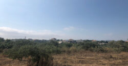 Land for sale Kfifan Batroun Area 1995Sqm