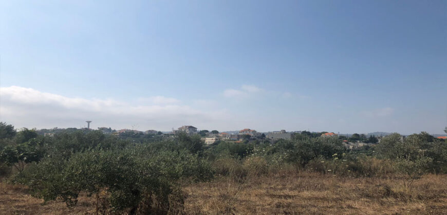 Land for sale Kfifan Batroun Area 1995Sqm