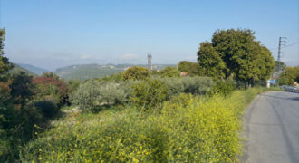 Land for Sale Kfifan ( Deir Kfifan ) Batroun Area 1280Sqm